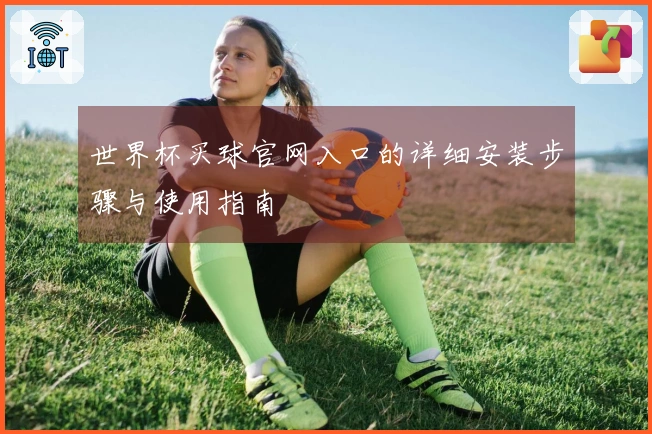 世界杯买球官网入口的详细安装步骤与使用指南