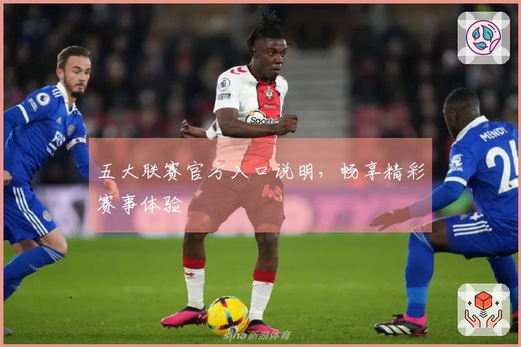 五大联赛官方入口说明，畅享精彩赛事体验