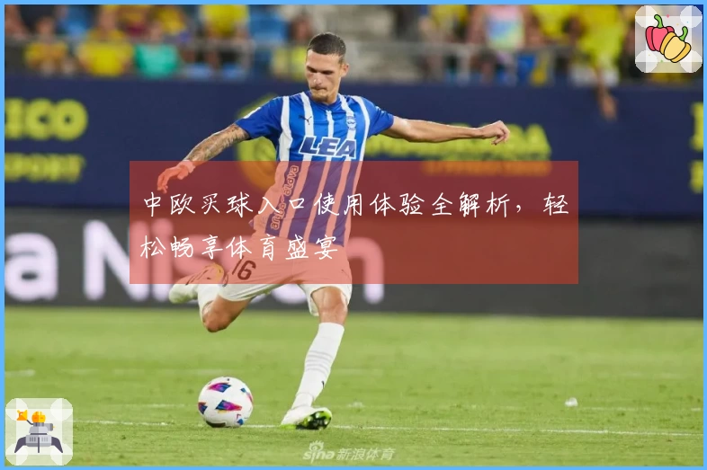 中欧买球入口使用体验全解析，轻松畅享体育盛宴