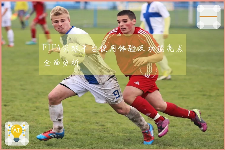 FIFA买球平台使用体验及功能亮点全面分析