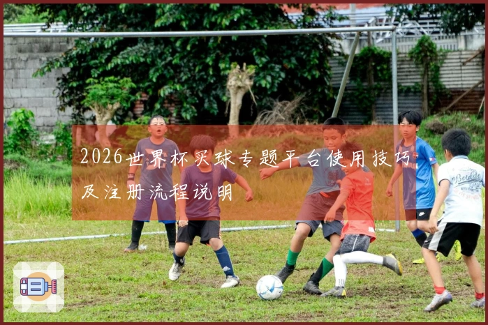 2026世界杯买球专题平台使用技巧及注册流程说明