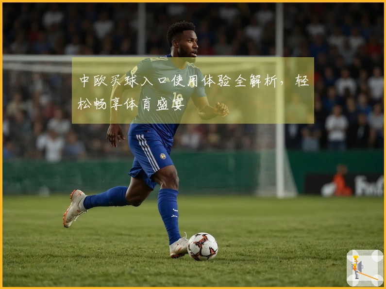中欧买球入口使用体验全解析，轻松畅享体育盛宴