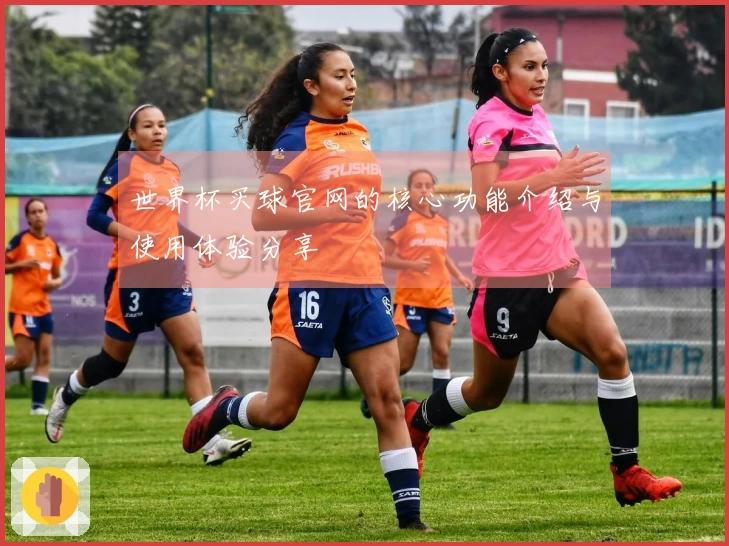 世界杯买球官网的核心功能介绍与使用体验分享