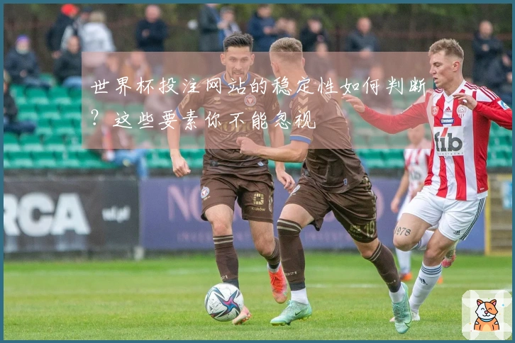 世界杯投注网站的稳定性如何判断?这些要素你不能忽视
