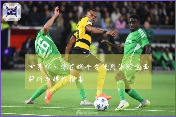 世界杯买球在线平台使用体验全面解析与操作指南
