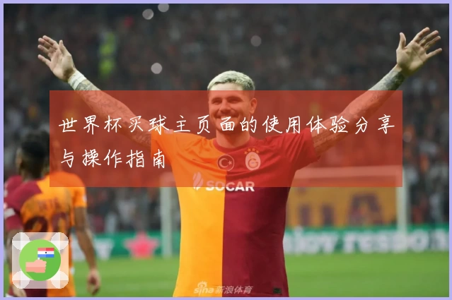 世界杯买球主页面的使用体验分享与操作指南