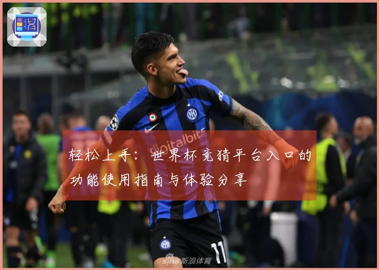轻松上手：世界杯竞猜平台入口的功能使用指南与体验分享