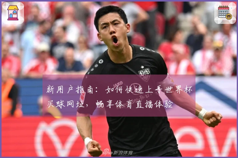 新用户指南：如何快速上手世界杯买球网址，畅享体育直播体验
