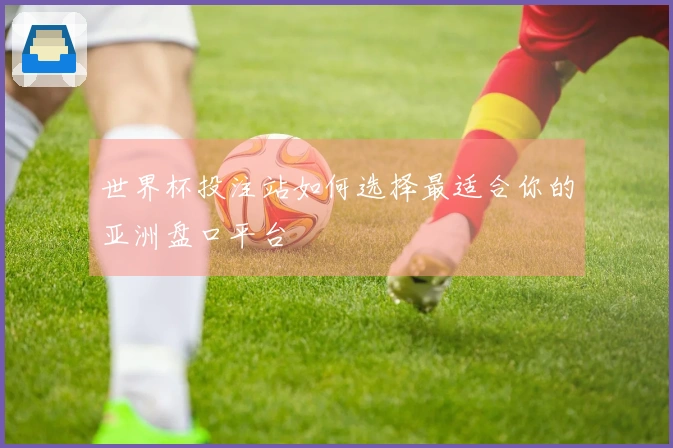 世界杯投注站如何选择最适合你的亚洲盘口平台